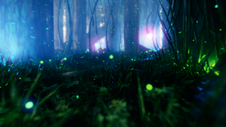 Fantasy forest